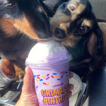 La Bella Pizza Boisson