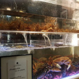 Mesón de Alberto Boisson