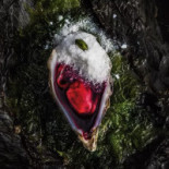 Bar Restaurante Circulo De Recreo outside