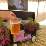 Campomar (no Se Reserva) Bebida