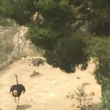 Meson Mirador Alcala outside