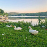 Comidas De Patty — Puerto Hondo outside