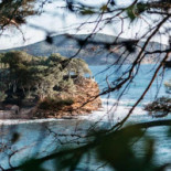 Cafe Dientzenhofer Bebida