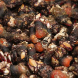 Cetarea Burela Nourriture