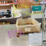 Fishølogy Extérieur