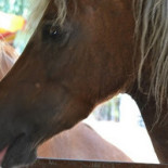 Casa Juan Sanlucar De Barrameda Bebida