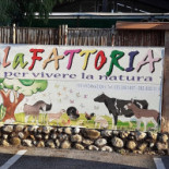 Casa Juan Sanlucar De Barrameda Logo