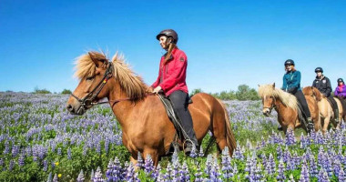 Minniborgir Exterior