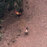 Albergue Montes De Anaga Extérieur