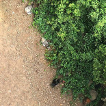 Albergue Montes De Anaga Extérieur