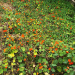 Albergue Montes De Anaga Boisson