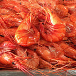 Keila Peetri Pizza Bebida