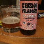 Celona Universal Lobby Bebida