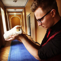 2 Kokteili OÜ Bebida