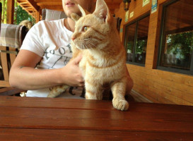 Vellosar Kaubanduse Oue Bebida