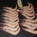 Diego Olla Nourriture