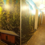 Hostal Los Pinos Bebida