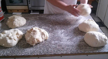 Motorest Piccolo Bebida