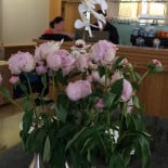 Restaurante el Cápita Dentro