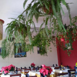 Restaurante el Cápita Dentro