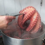 Adega A. Kunka Getränk