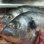 Bahia Aljarafe Bebida