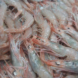 Bahia Aljarafe Bebida