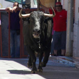 La Tableria De La Flecha Boisson