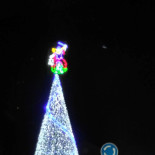 Taperia Gaviota 2 Getränk