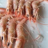 Bodegón Emilio Restaurante food