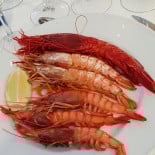 Castilla 2000 Bebida