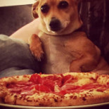 Tenepizza Nourriture