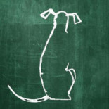 El Perro Verde Boisson