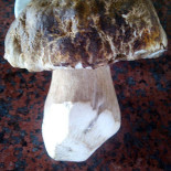 El Patio De Cabanillas drink