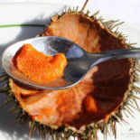 El Cantir Calella De Palafrugell Bebida