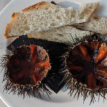 El Cantir Calella De Palafrugell Comida