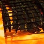 Els Traginers Bebida