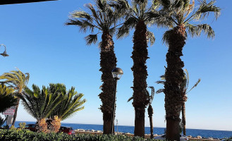 Taj Mahal Tandoori Almunecar Exterior