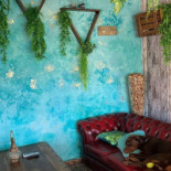 Pool Bar Restaurant inside