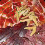 Del Tinto Al Odiel Boisson