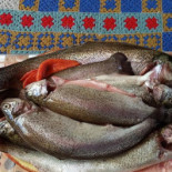 Piscifactoria De Villanueva De Carrizo Nourriture