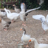 Piscifactoria De Villanueva De Carrizo Exterior