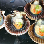 Piscifactoria De Villanueva De Carrizo Nourriture