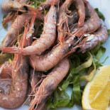 Casa Miguel Ángel Y Micaela food