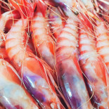 Casa Miguel Ángel Y Micaela drink