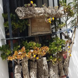 Meson El Simancon outside