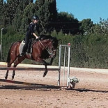 Dehesa Monteandres Extérieur