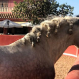 Dehesa Monteandres Extérieur