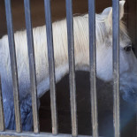 Dehesa Monteandres Extérieur