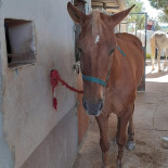 Dehesa Monteandres Extérieur